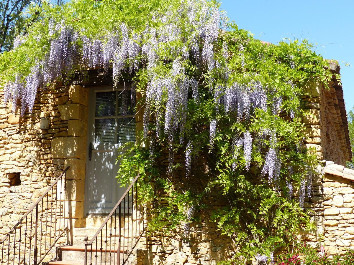 Chambres D'Hotes Les Boudines Saint-Germain-de-Belvès Cameră foto